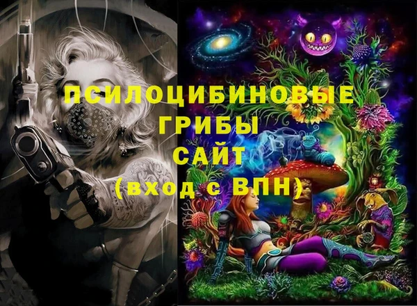 круглые Алексеевка