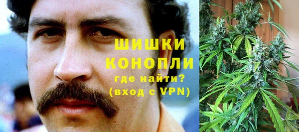 PSILOCYBIN Покачи
