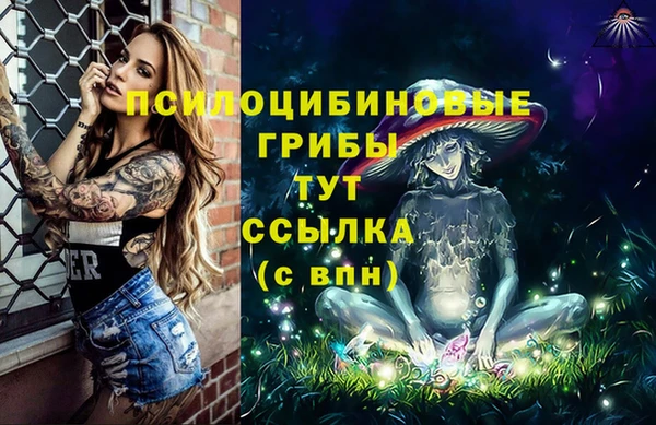 круглые Алексеевка
