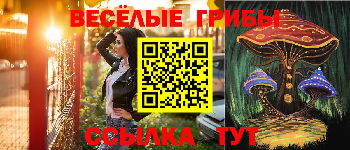 Псилоцибиновые грибы Psilocybe  Галлюциногенные грибы мухоморы  Углич  Вход с VPN 
